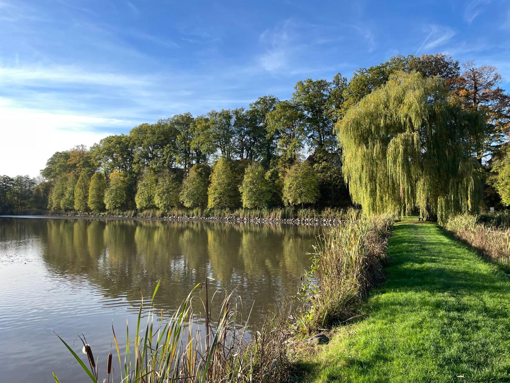 Naturnahe Unterkunft In Der Burgenstadt Schlitz Exterior foto